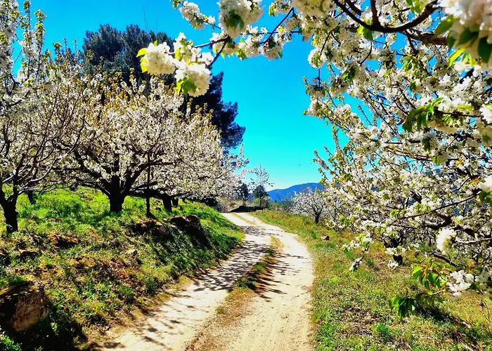 Naharro By #Cherrygredos