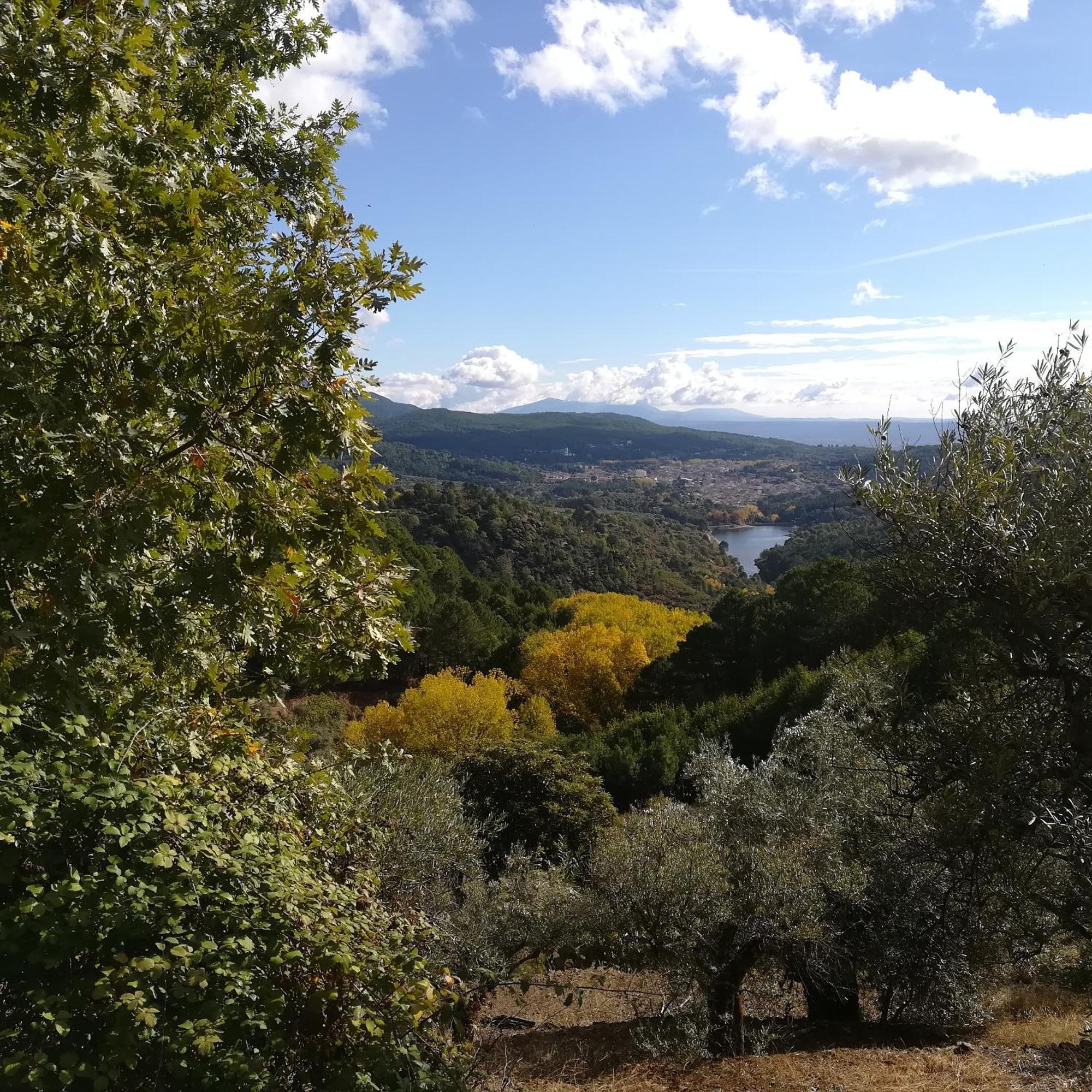 Naharro By #cherrygredos